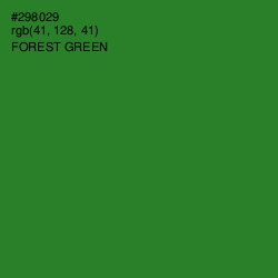 #298029 - Forest Green Color Image